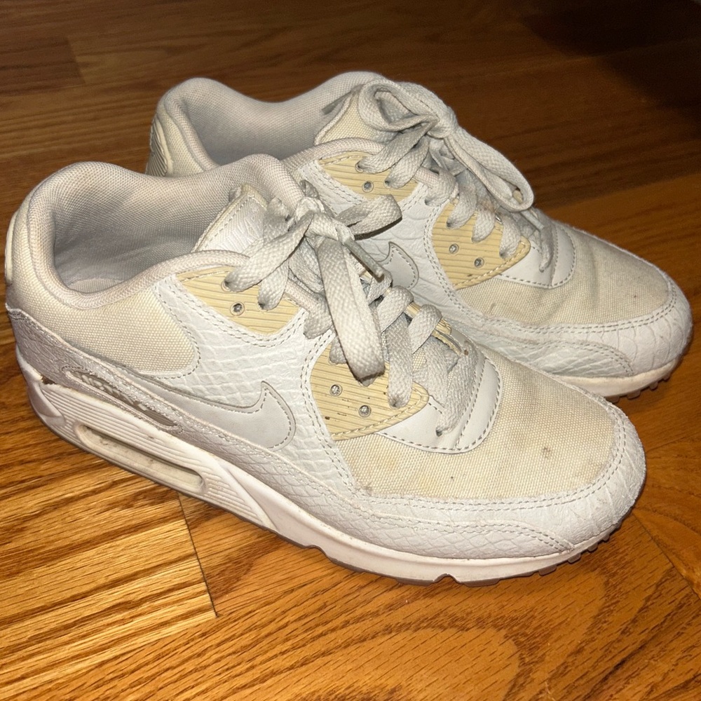 Nike Air Maxs